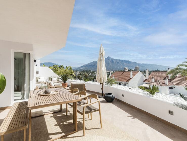 apartments in nueva andalucia