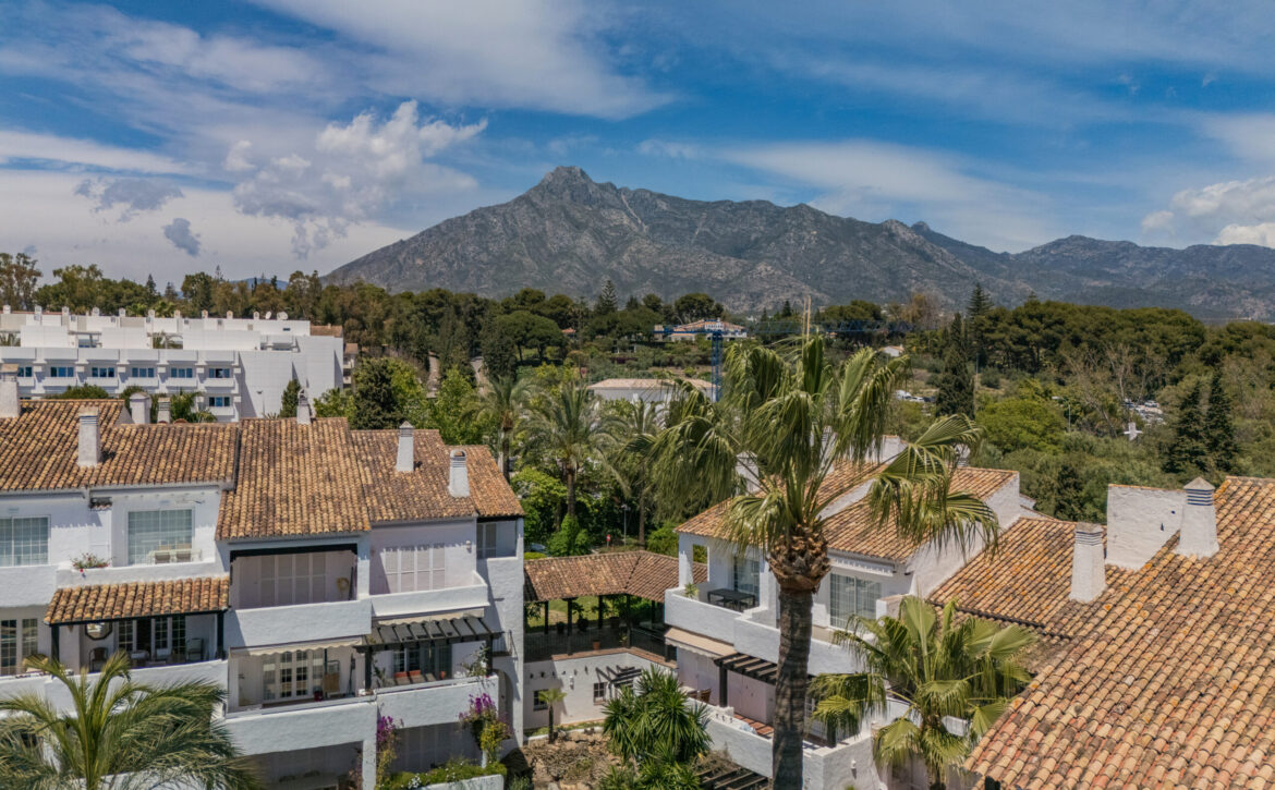 Apartment in Puente Romano